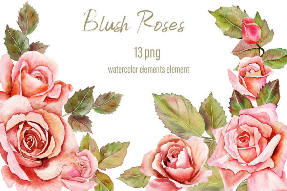 Blush Roses Watercolor Floral Clipart Guide